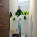 Casa 8 Jardines / Goko MX © Aki Itami R.