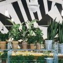 Bulka Cafe and Bakery / Crosby Studios Bulka Cafe and Bakery / Crosby Studios © Evgeny Evgrafov