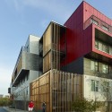 The Cardinal / Modus Studio The Cardinal / Modus Studio © Timothy Hursley
