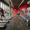 The Cardinal / Modus Studio The Cardinal / Modus Studio © Timothy Hursley