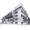The Cardinal / Modus Studio The Cardinal / Modus Studio Drawing 2