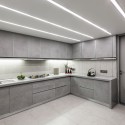 1102 Penthouse / Apical Reform © Anil Patel