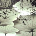 Frei Otto, Premio Pritzker 2015: su obra en 10 imágenes Umbrellas for Pink Floyd's 1977 concert tour of the United States. Image © Atelier Frei Otto Warmbronn