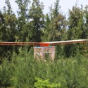 Dragonfly Park / V-architecture Dragonfly Park / V-architecture © Oki Hiroyuki