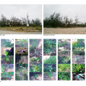 Dragonfly Park / V-architecture Dragonfly Park / V-architecture Diagram 7