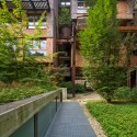 25 Green  / Luciano Pia ©  Beppe Giardino