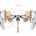 4 Fantastical Projects Take Top Honors in 2015 Fairy Tales Competition 4 Fantastical Projects Take Top Honors in 2015 Fairy Tales Competition Honorable Mention: “Verse” / Chanel Dehond. Image © Blank Space