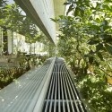 Chiltern House / WOW Architects | Warner Wong Design Chiltern House / WOW Architects | Warner Wong Design © Aaron Pocock