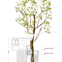 Urban Treehouse / baumraum Urban Treehouse / baumraum Elevation