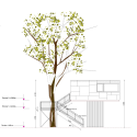 Urban Treehouse / baumraum Urban Treehouse / baumraum Elevation