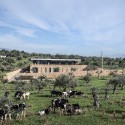 Zgharta House / platau Zgharta House / platau © Ieva Saudargaite