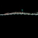 Delve Into "The Possibilities of Perception" with Satellite Photo Art by ULTRADISTANCIA Delve Into "The Possibilities of Perception" with Satellite Photo Art by ULTRADISTANCIA Courtesy of Federico Winer @Google Earth and satellite data providers