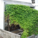 MA of Wind / Ryuichi Ashizawa Architect & Associates MA of Wind / Ryuichi Ashizawa Architect & Associates © Kaori Ichikawa
