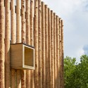 Torsby Finnskog Center / Bornstein Lyckefors Courtesy of Bornstein Lyckefors