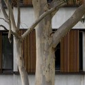 Finlayson Street / Candalepas Associates Finlayson Street / Candalepas Associates © Brett Boardman photography