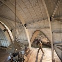 Sandibe Okavango Safari Lodge / Nicholas Plewman Architects © Dook