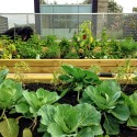 Live_Work_Grow House / Susan Fitzgerald Architecture Live_Work_Grow House / Susan Fitzgerald Architecture Courtesy of Susan Fitzgerald Architecture