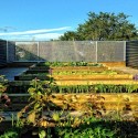 Live_Work_Grow House / Susan Fitzgerald Architecture Live_Work_Grow House / Susan Fitzgerald Architecture Courtesy of Susan Fitzgerald Architecture