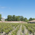 Chateau Margaux Winery / Foster + Partners © Nigel Young / Foster + Partners